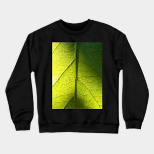 Leaf Crewneck Sweatshirt